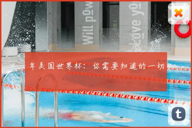 年美国世界杯：你需要知道的一切