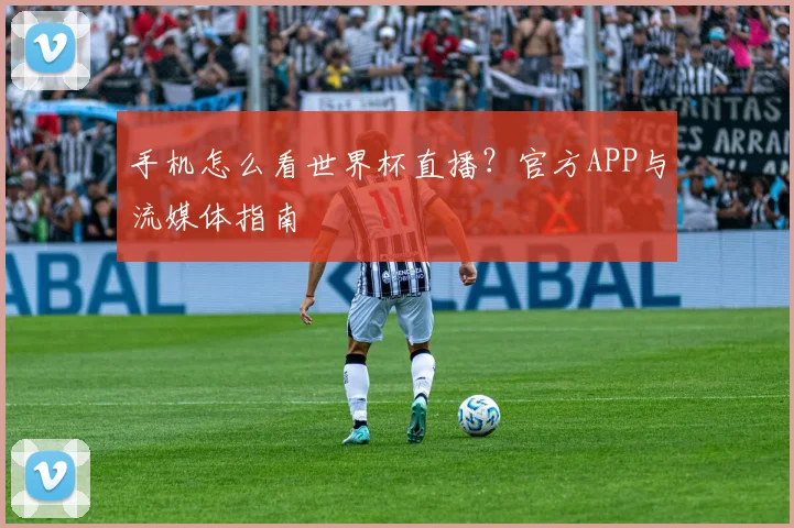 手机怎么看世界杯直播?官方APP与流媒体指南